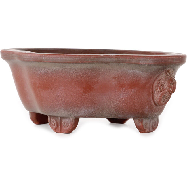 Vaso bonsai Mokko non smaltato di Bigei - 137 x 113 x 55 mm