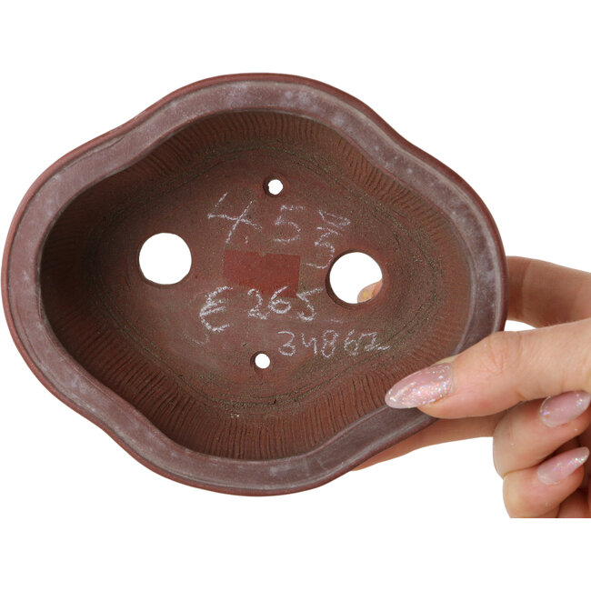 Vaso bonsai Mokko non smaltato di Bigei - 137 x 113 x 55 mm