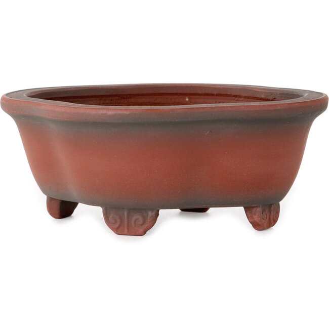 Maceta para bonsái Mokko sin esmaltar de Bigei - 137 x 113 x 55 mm