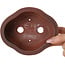 Maceta para bonsái Mokko sin esmaltar de Bigei - 137 x 113 x 55 mm