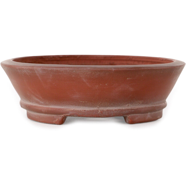 Maceta ovalada sin esmaltar para bonsái de Bigei - 158 x 123 x 38 mm