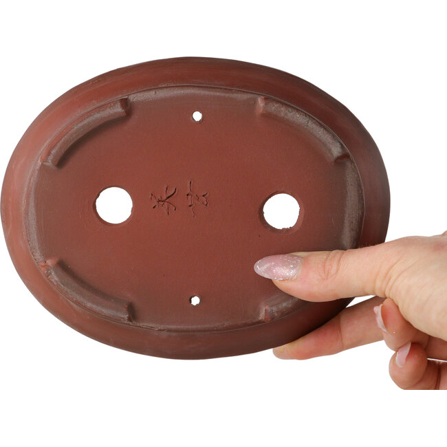 Ovale, ongeglazuurde bonsaipot van Bigei - 158 x 123 x 38 mm