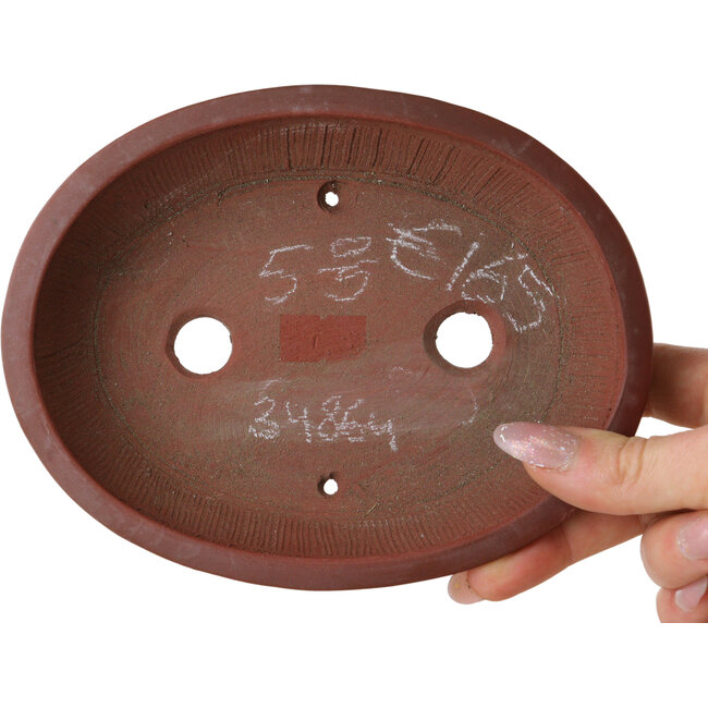 Pot à bonsaï ovale non émaillé de Bigei - 158 x 123 x 38 mm