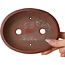 Pot à bonsaï ovale non émaillé de Bigei - 158 x 123 x 38 mm