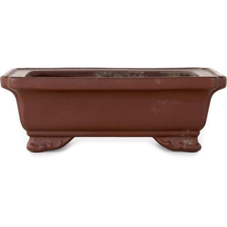  Yamaaki Maceta para bonsái rectangular sin esmaltar de 132 mm de Yamaaki, Tokoname, Japón