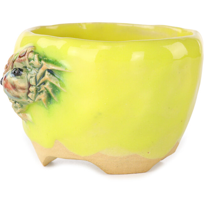 Vaso bonsai rotondo giallo di Masashi Furumoto - 85 x 85 x 60 mm