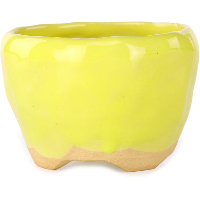 Vaso bonsai rotondo giallo di Masashi Furumoto - 85 x 85 x 60 mm