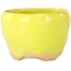 Round yellow bonsai pot by Masashi Furumoto - 85 x 85 x 60 mm