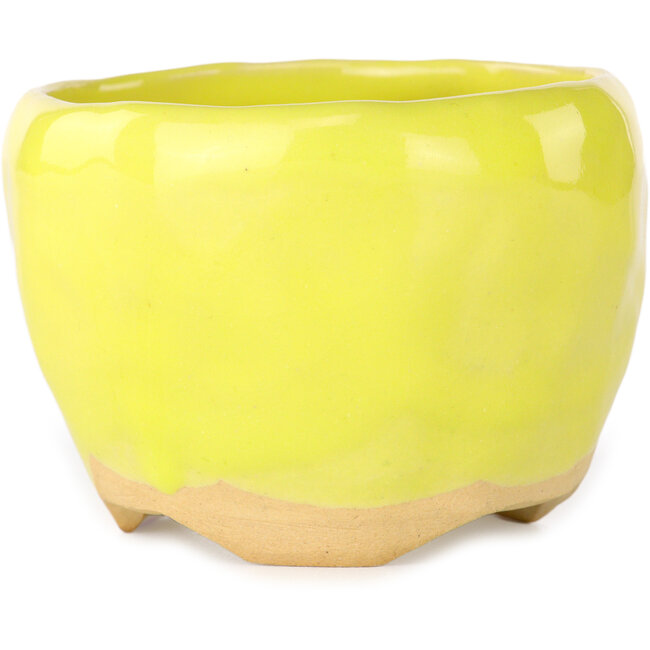 Vaso bonsai rotondo giallo di Masashi Furumoto - 85 x 85 x 60 mm