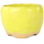 Round yellow bonsai pot by Masashi Furumoto - 85 x 85 x 60 mm