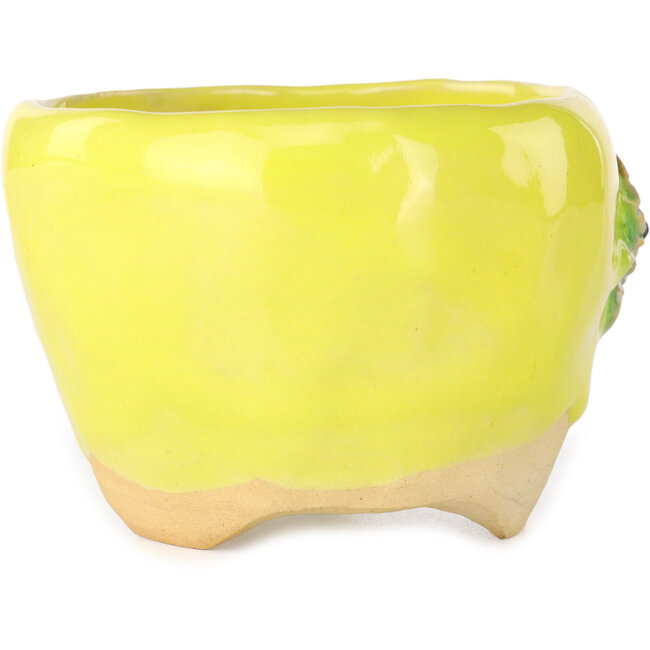 Vaso bonsai rotondo giallo di Masashi Furumoto - 85 x 85 x 60 mm