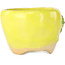 Round yellow bonsai pot by Masashi Furumoto - 85 x 85 x 60 mm