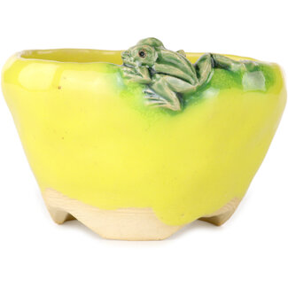 Masashi Furumoto 100 mm round yellow bonsai pot by Masashi Furumoto, Japan