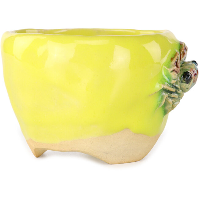 Vaso bonsai rotondo giallo di Masashi Furumoto - 85 x 85 x 60 mm