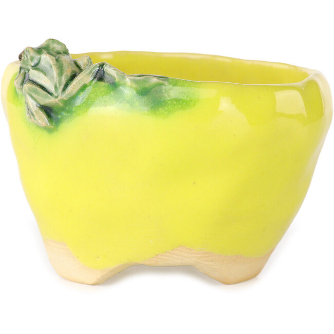 Round yellow bonsai pot by Masashi Furumoto - 100 x 100 x 62 mm