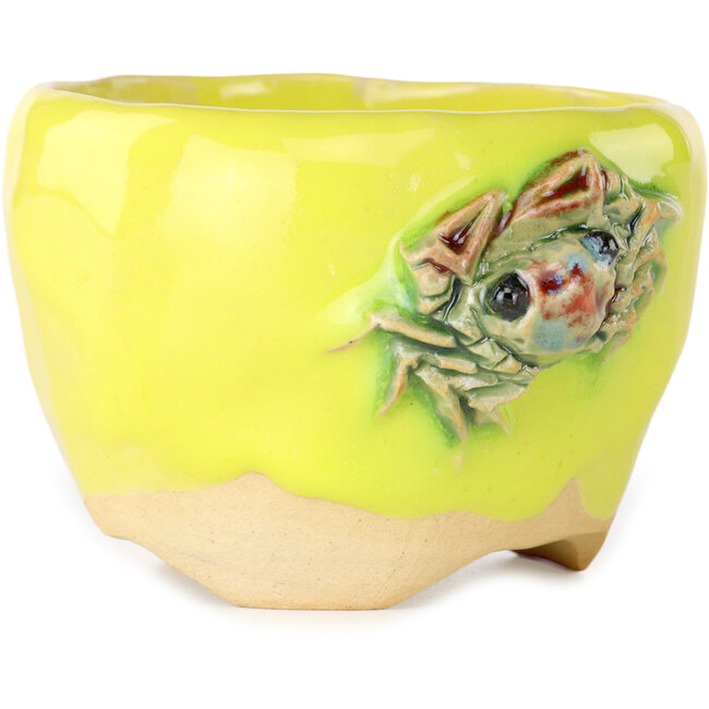 Vaso bonsai rotondo giallo di Masashi Furumoto - 85 x 85 x 60 mm