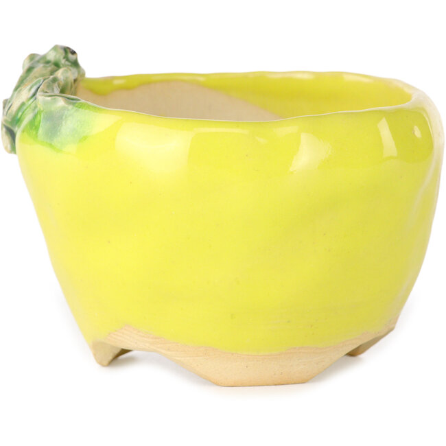 Vaso bonsai rotondo giallo di Masashi Furumoto - 100 x 100 x 62 mm