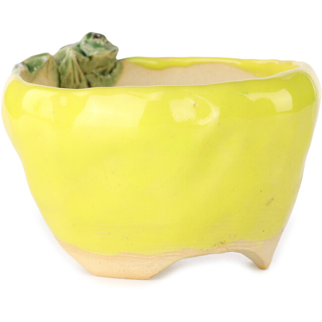 Round yellow bonsai pot by Masashi Furumoto - 100 x 100 x 62 mm