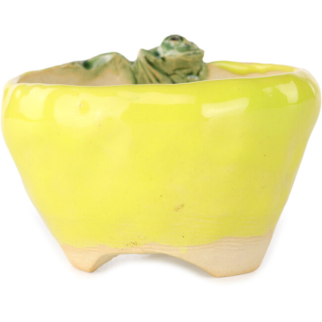 Vaso bonsai rotondo giallo di Masashi Furumoto - 100 x 100 x 62 mm