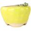 Round yellow bonsai pot by Masashi Furumoto - 100 x 100 x 62 mm