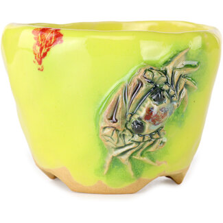 Masashi Furumoto Vaso bonsai rotondo giallo da 90 mm di Masashi Furumoto, Giappone