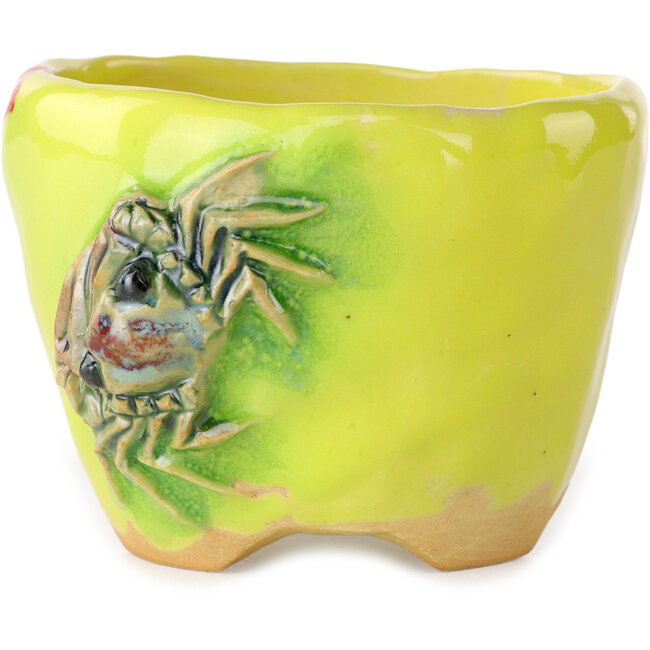 Pot à bonsaï rond jaune de Masashi Furumoto - 90 x 90 x 63 mm