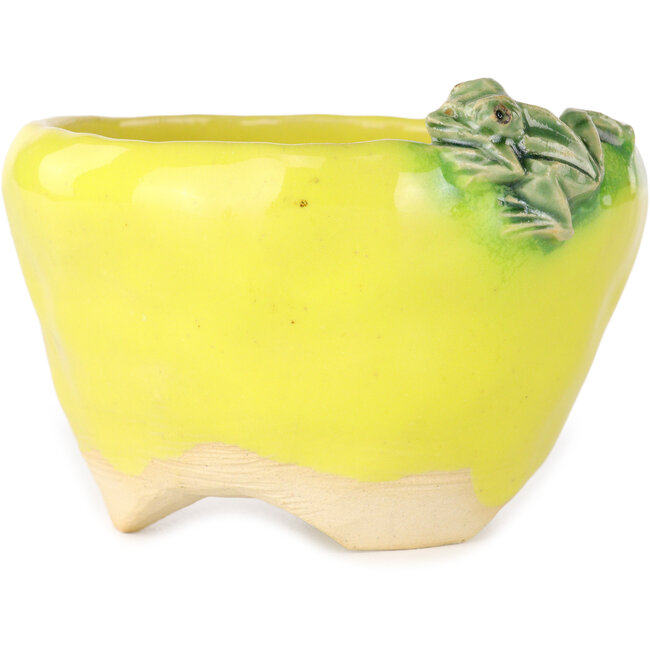 Round yellow bonsai pot by Masashi Furumoto - 100 x 100 x 62 mm