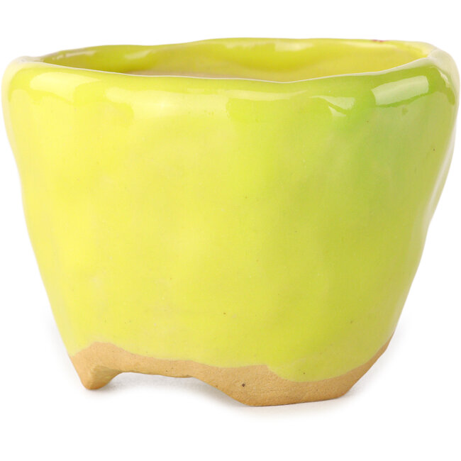 Vaso bonsai rotondo giallo di Masashi Furumoto - 90 x 90 x 63 mm