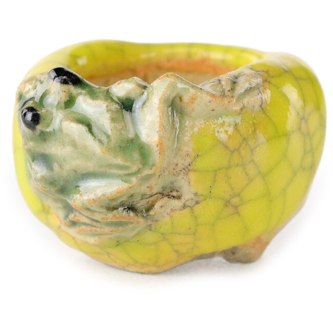 Pot à bonsaï rond jaune de Masashi Furumoto - 25 x 25 x 18 mm