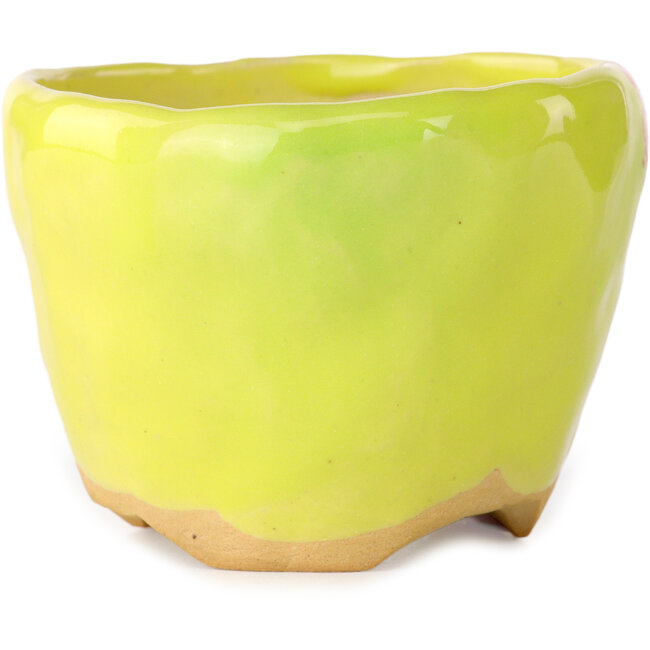 Maceta redonda amarilla para bonsái de Masashi Furumoto - 90 x 90 x 63 mm