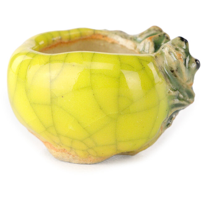 Maceta redonda amarilla para bonsái de Masashi Furumoto - 25 x 25 x 18 mm