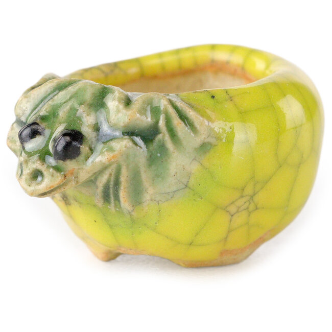 Maceta redonda amarilla para bonsái de Masashi Furumoto - 25 x 25 x 18 mm