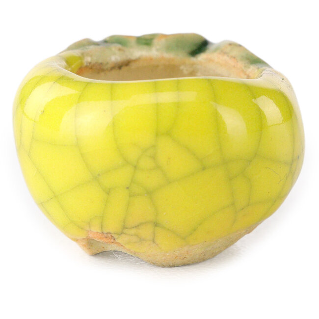 Pot à bonsaï rond jaune de Masashi Furumoto - 25 x 25 x 18 mm