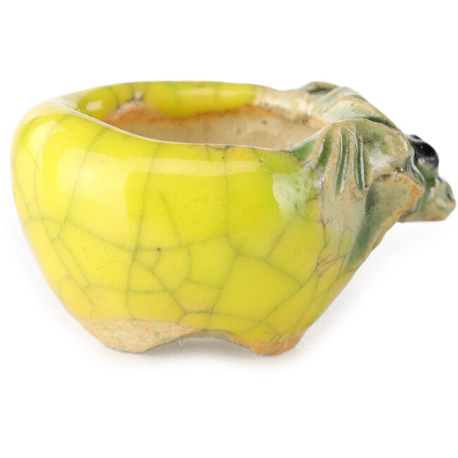 Ronde gele bonsaipot van Masashi Furumoto - 25 x 25 x 18 mm