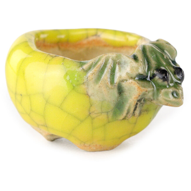 Round yellow bonsai pot by Masashi Furumoto - 25 x 25 x 18 mm