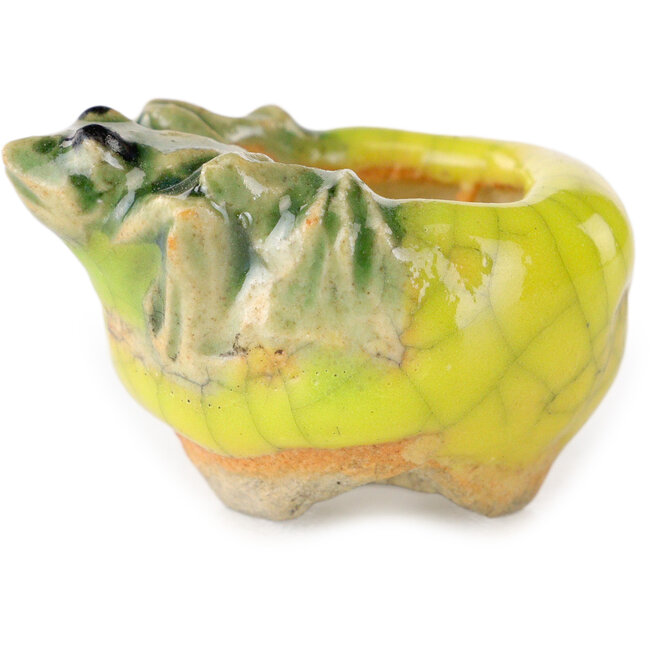 Runder gelber Bonsai-Topf von Masashi Furumoto – 25 x 25 x 18 mm