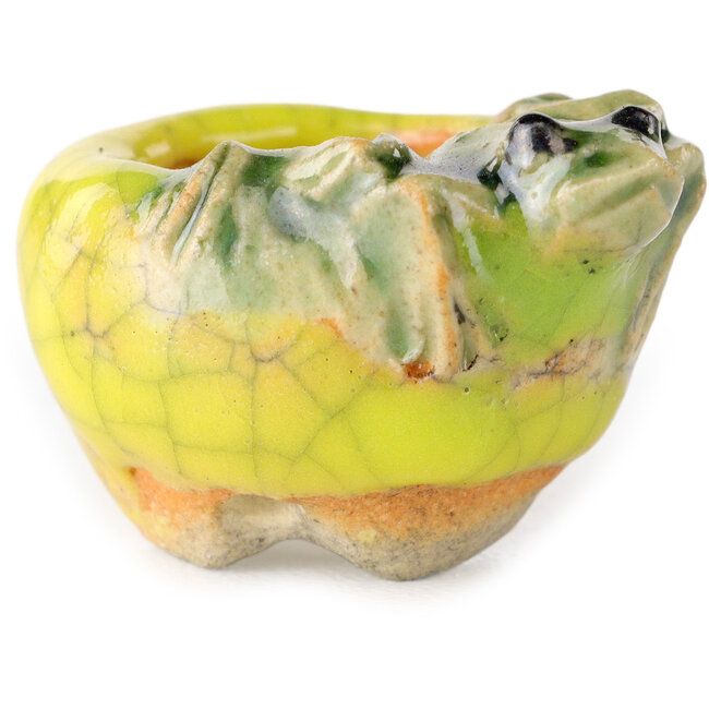 Maceta redonda amarilla para bonsái de Masashi Furumoto - 25 x 25 x 18 mm