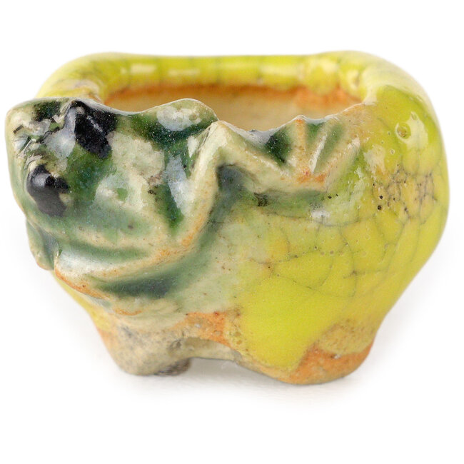 Pot à bonsaï rond jaune de Masashi Furumoto - 25 x 25 x 18 mm