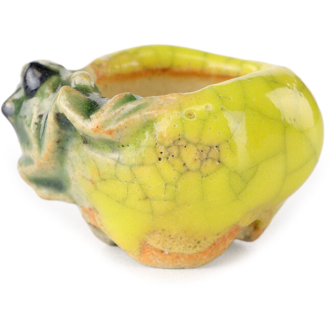 Maceta redonda amarilla para bonsái de Masashi Furumoto - 25 x 25 x 18 mm