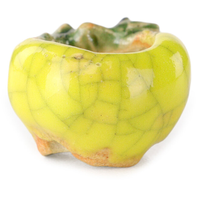 Round yellow bonsai pot by Masashi Furumoto - 25 x 25 x 18 mm