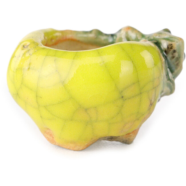 Round yellow bonsai pot by Masashi Furumoto - 25 x 25 x 18 mm