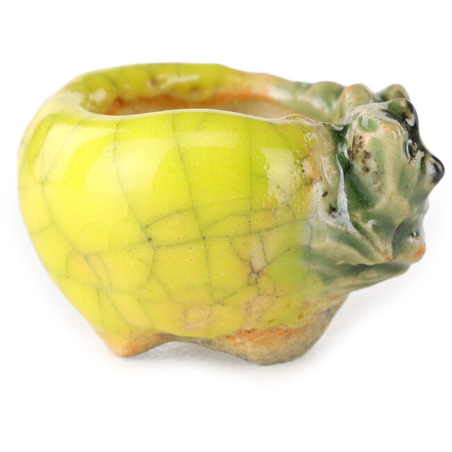 Maceta redonda amarilla para bonsái de Masashi Furumoto - 25 x 25 x 18 mm