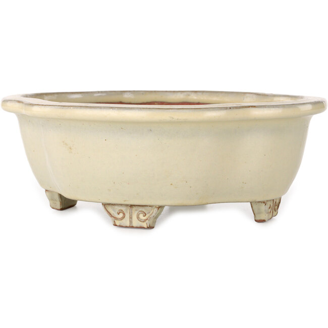 Maceta para bonsái Mokko beige de Ikkou - 208 x 177 x 75 mm