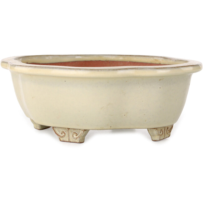 Mokko beige Bonsaischale von Ikkou – 208 x 177 x 75 mm