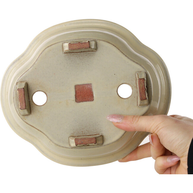 Maceta para bonsái Mokko beige de Ikkou - 208 x 177 x 75 mm