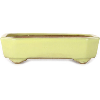  Yamafusa - Takehiko Koie 133 mm rectangular yellow bonsai pot by Yamafusa, Tokoname, Japan