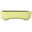 Rectangular yellow bonsai pot by Yamafusa - 133 x 110 x 35 mm