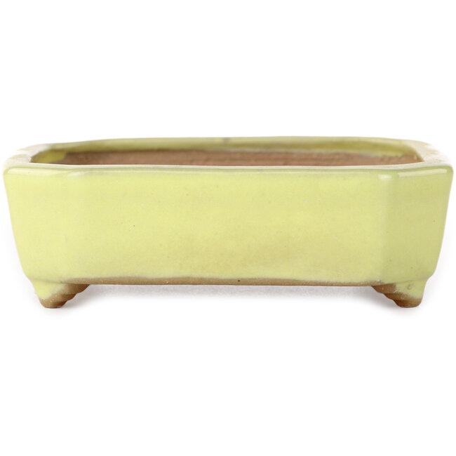 Vaso bonsai rettangolare giallo di Yamafusa - 133 x 110 x 35 mm