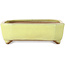 Maceta rectangular amarilla para bonsái de Yamafusa - 133 x 110 x 35 mm