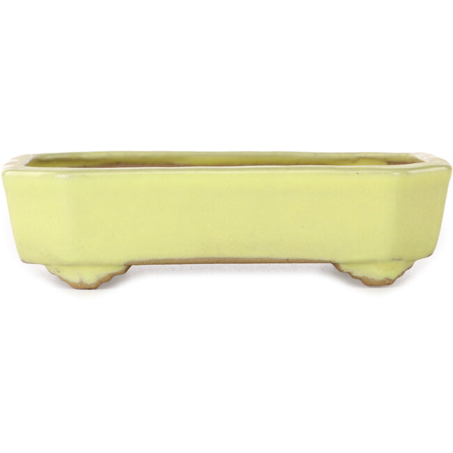 Rechthoekige gele bonsaipot van Yamafusa - 133 x 110 x 35 mm